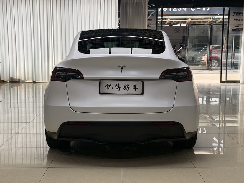Tesla Model Y 2022 car image #6