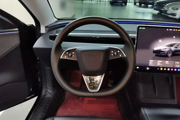 Tesla Model 3 2025 car image #11