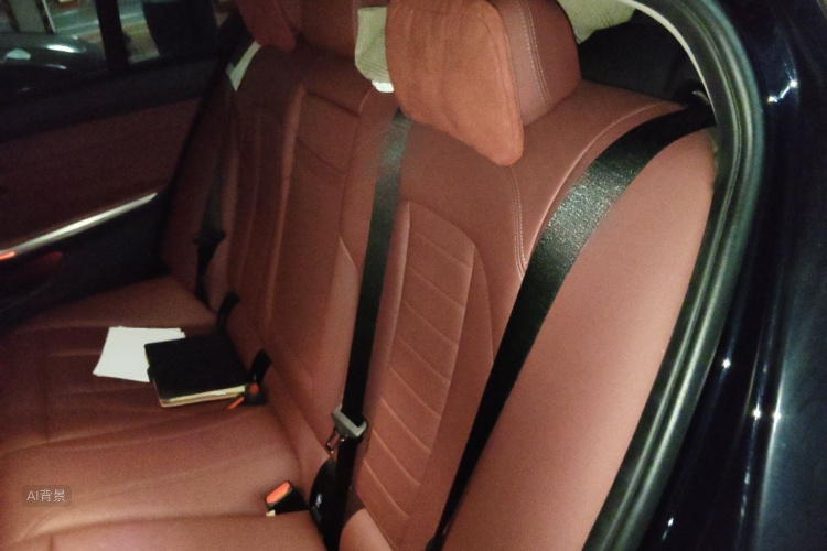 BMW 3 Series 2021 car image #19