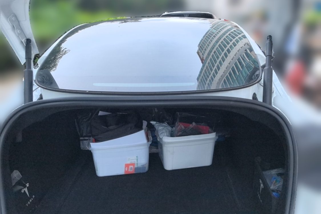 Tesla Model 3 2024 #8 Tesla Model 3 2024 car image #8