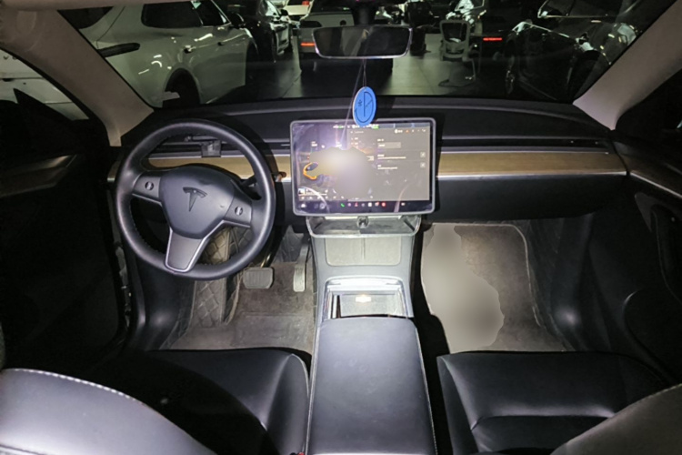 Tesla Model Y 2021 car image #10