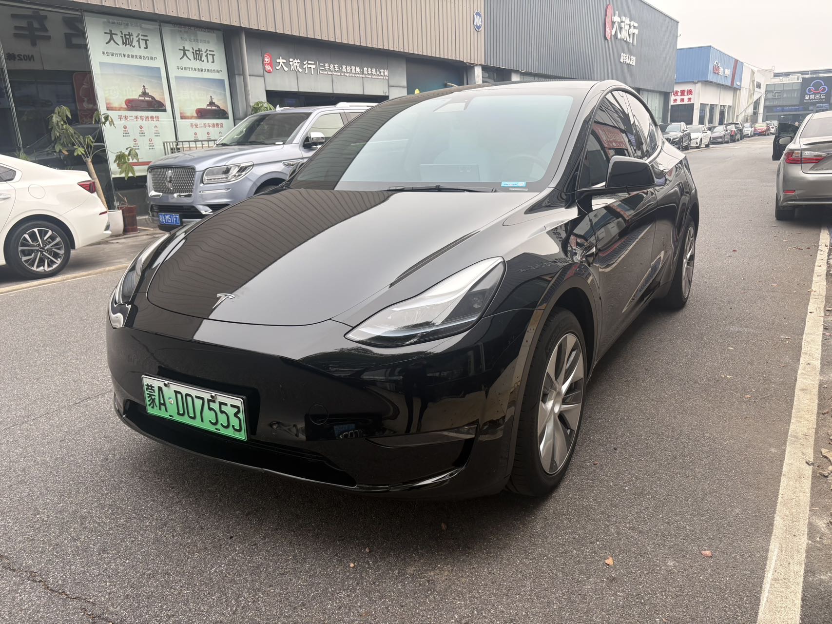 Tesla Model Y 2023 immagine di auto 