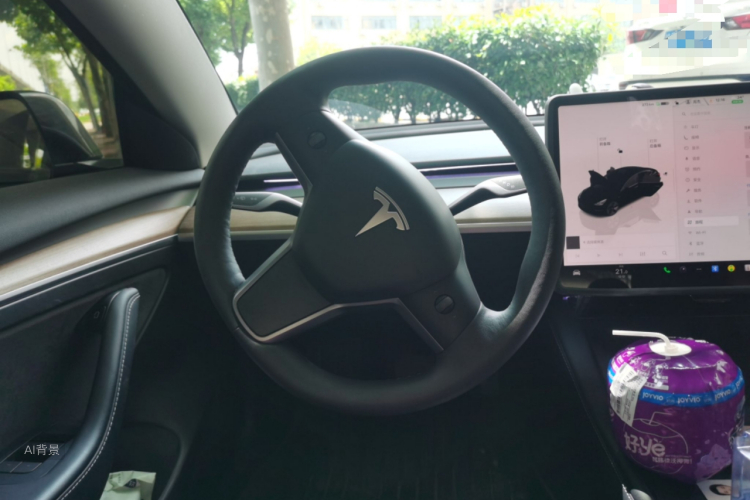 Tesla Model 3 2022 car image #12