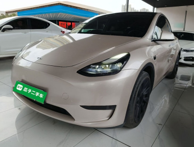 Tesla Model Y 2022 car image 