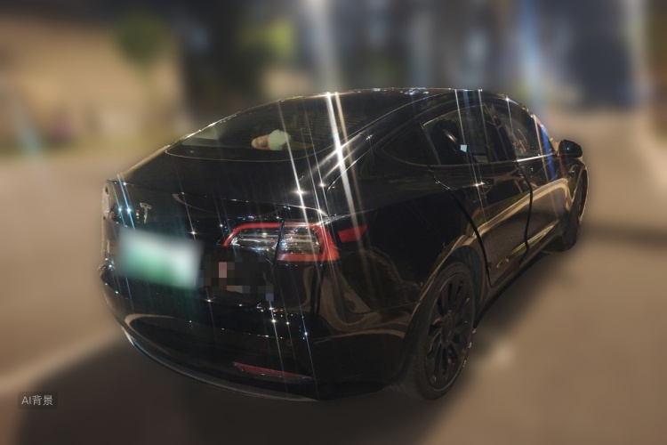 Tesla Model 3 2021 #7 Tesla Model 3 2021 car image #7