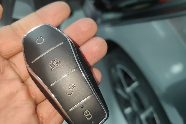 BYD Han 2022 imagen de coche #9