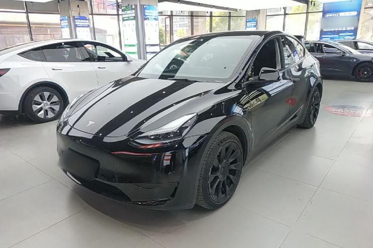 Tesla Model Y 2023 #2 Tesla Model Y 2023 car image #2