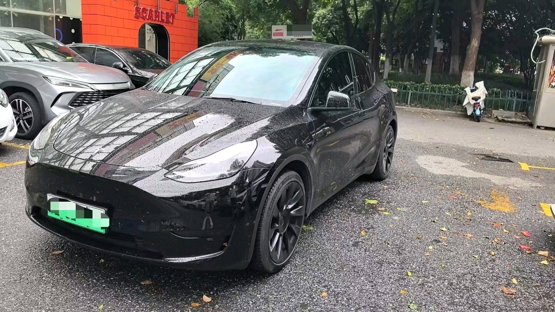 Tesla Model Y 2022 car image 