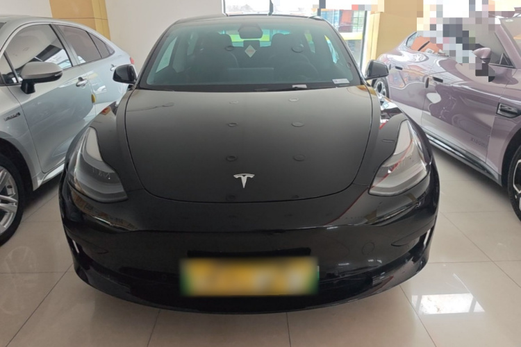 Tesla Model 3 2021 imagem de carro #3