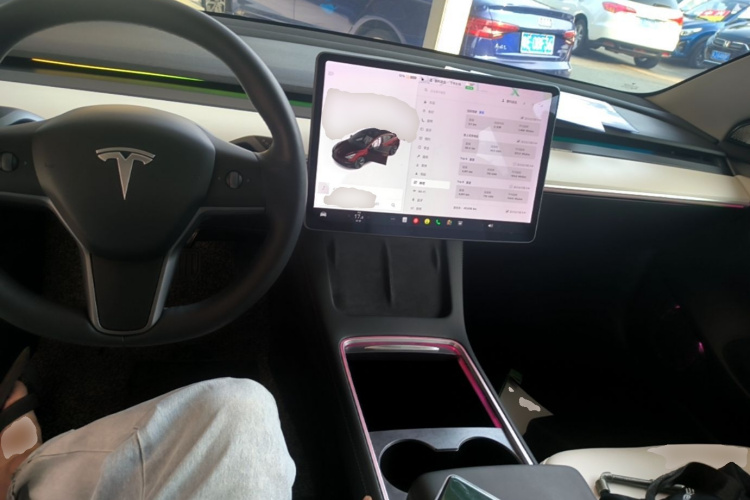 Tesla Model 3 2021 immagine di auto #10