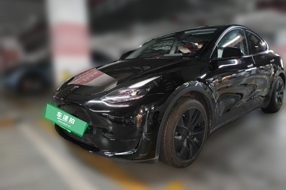 Tesla Model Y 2023 car image 