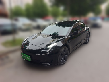 Tesla Model 3 2022 Tesla Model 3 2022 car image