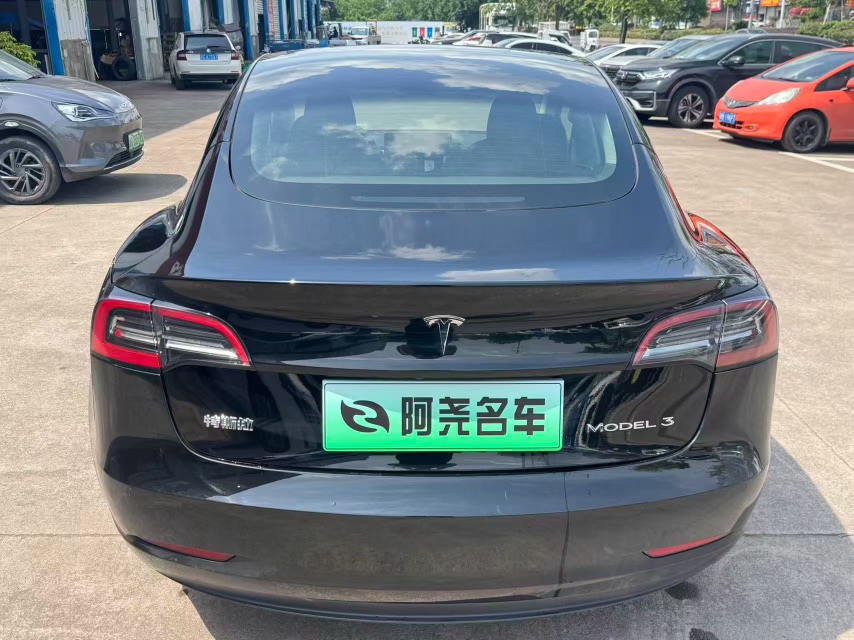 Tesla Model 3 2021 immagine di auto #8