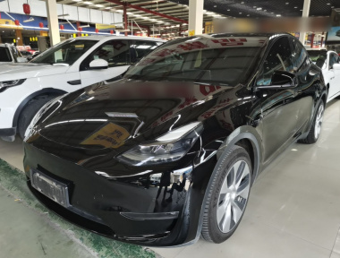 Tesla Model Y 2021 Tesla Model Y 2021 car image