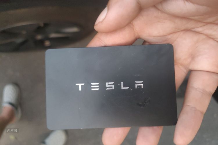 Tesla Model Y 2024 car image #10
