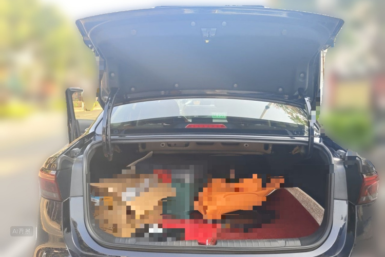 GEELY Emgrand 2022 car image #21