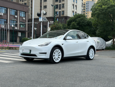 Tesla Model Y 2024 car image 