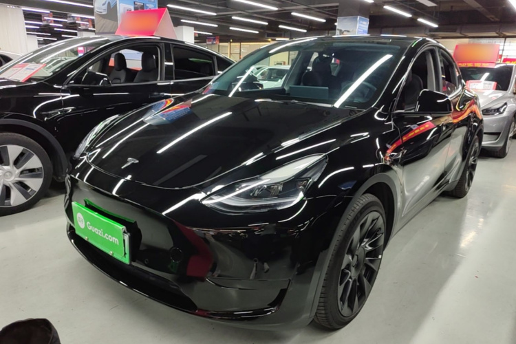 Tesla Model Y 2022 car image #2