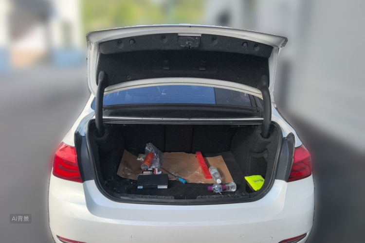 BMW 3 Series 2017 car image #21