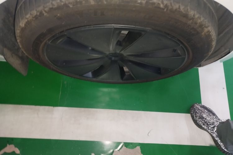 Tesla Model 3 2024 immagine di auto #6