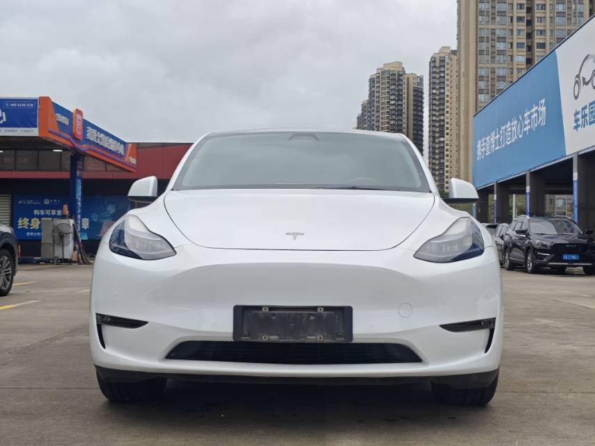 Tesla Model Y 2021 car image #2