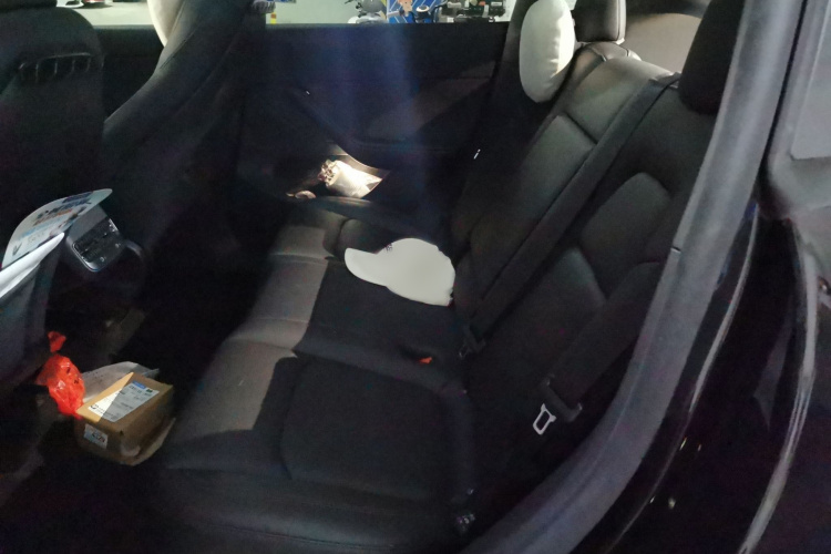 Tesla Model Y 2023 #14 Tesla Model Y 2023 car image #14
