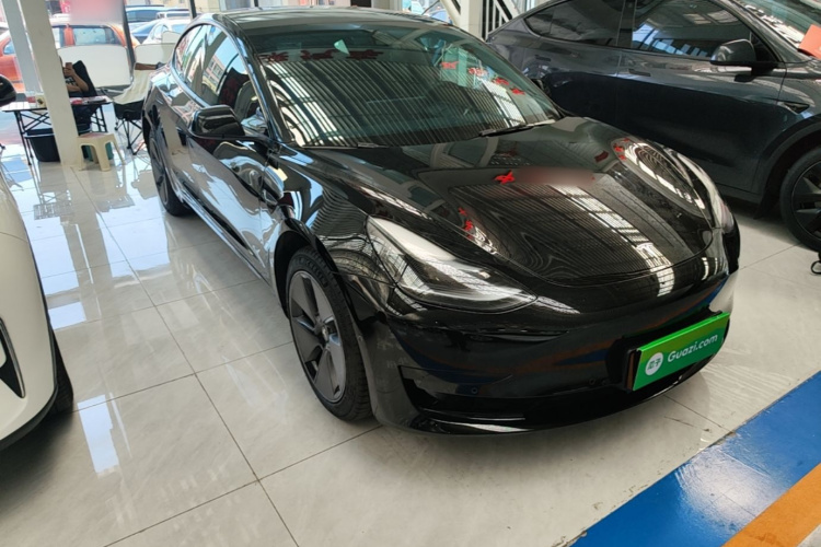 Tesla Model 3 2022 car image #6