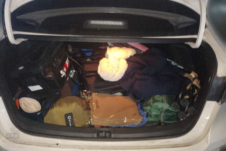 Toyota Corolla 2020 car image #21
