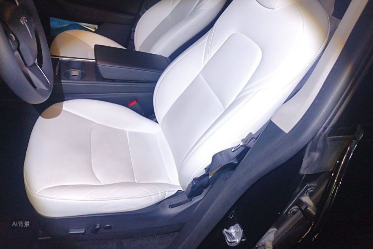 Tesla Model Y 2021 car image #17