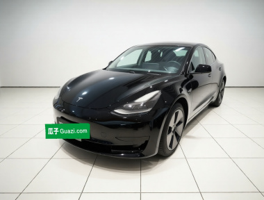 Tesla Model 3 2021 car image 