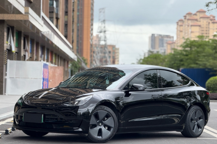 Tesla Model 3 2021 immagine di auto #2