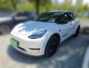 Tesla Model Y 2023 car image 