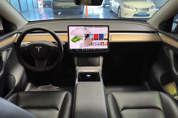 Tesla Model Y 2021 car image #10
