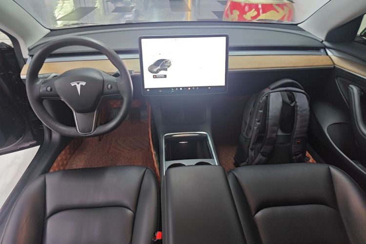 Tesla Model 3 2021 car image #10