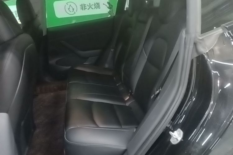 Tesla Model 3 2021 immagine di auto #13