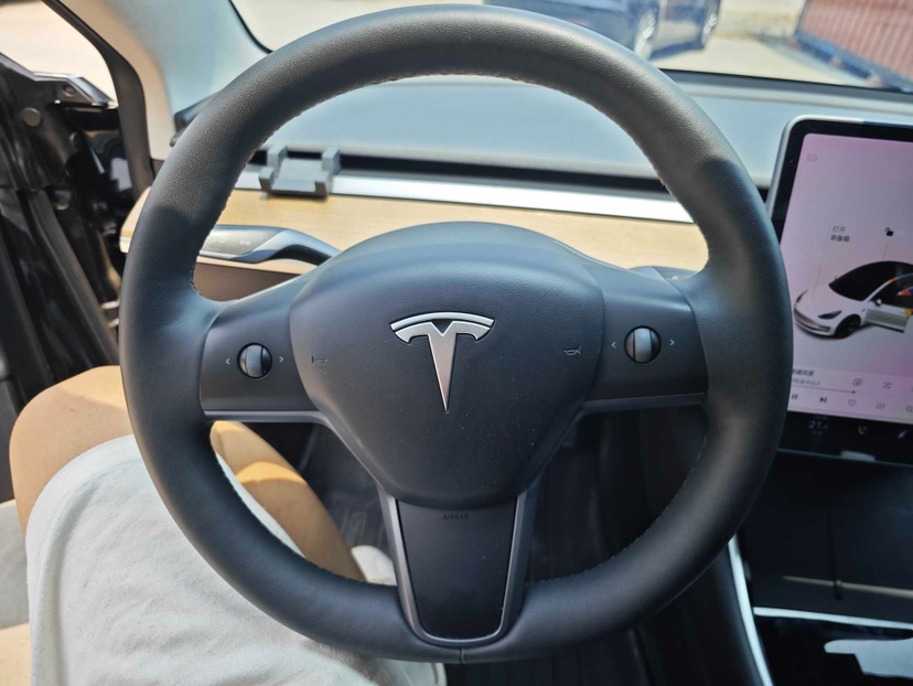 Tesla Model 3 2020 car image #5