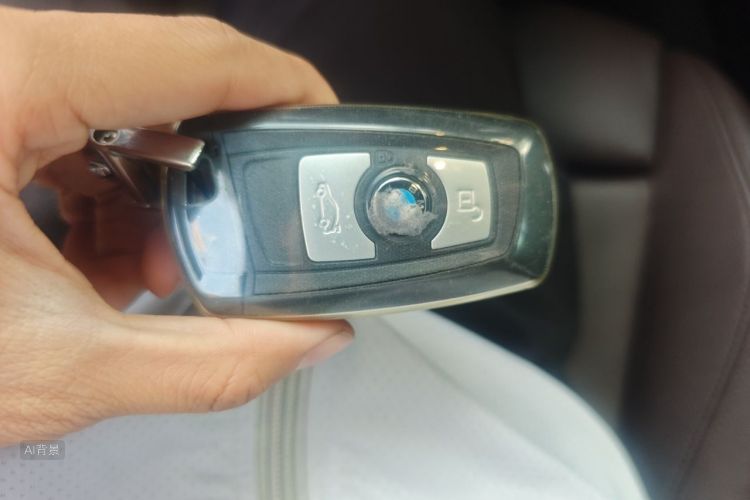 BMW 3 Series 2019 car image #10