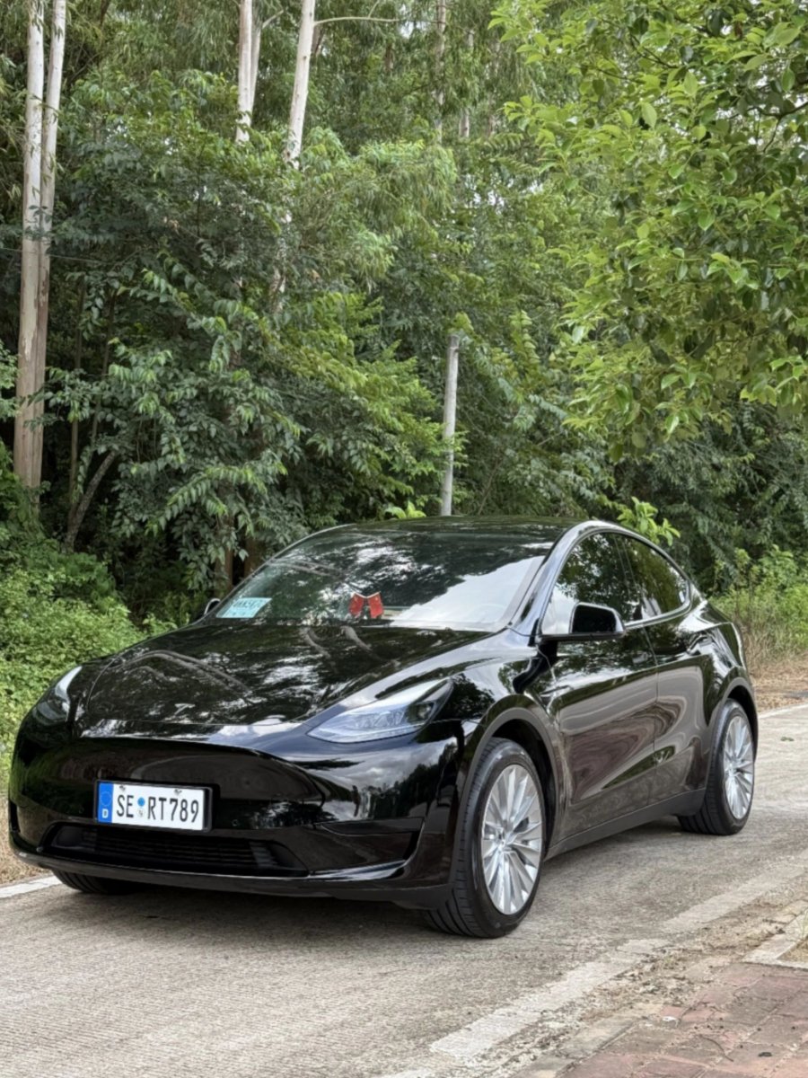 Tesla Model Y 2022 car image 