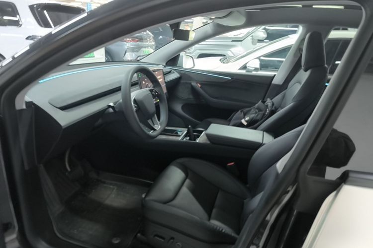 Tesla Model Y 2025 imagen de coche #19