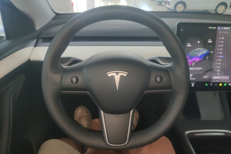 Tesla Model Y 2023 #11 Tesla Model Y 2023 car image #11