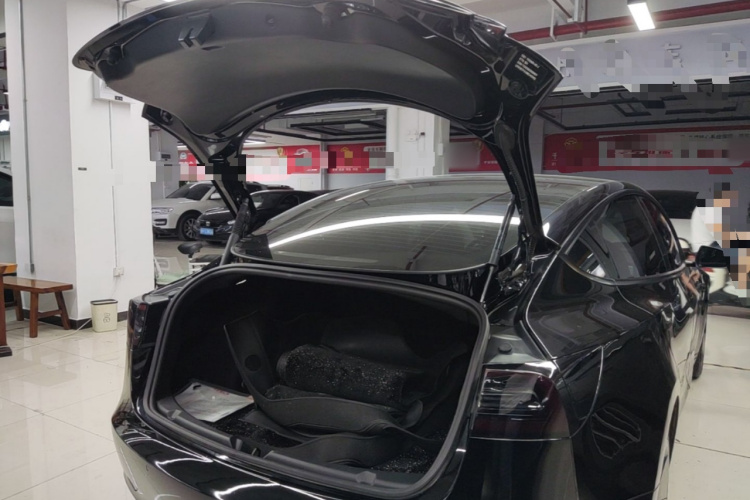 Tesla Model 3 2021 car image #21