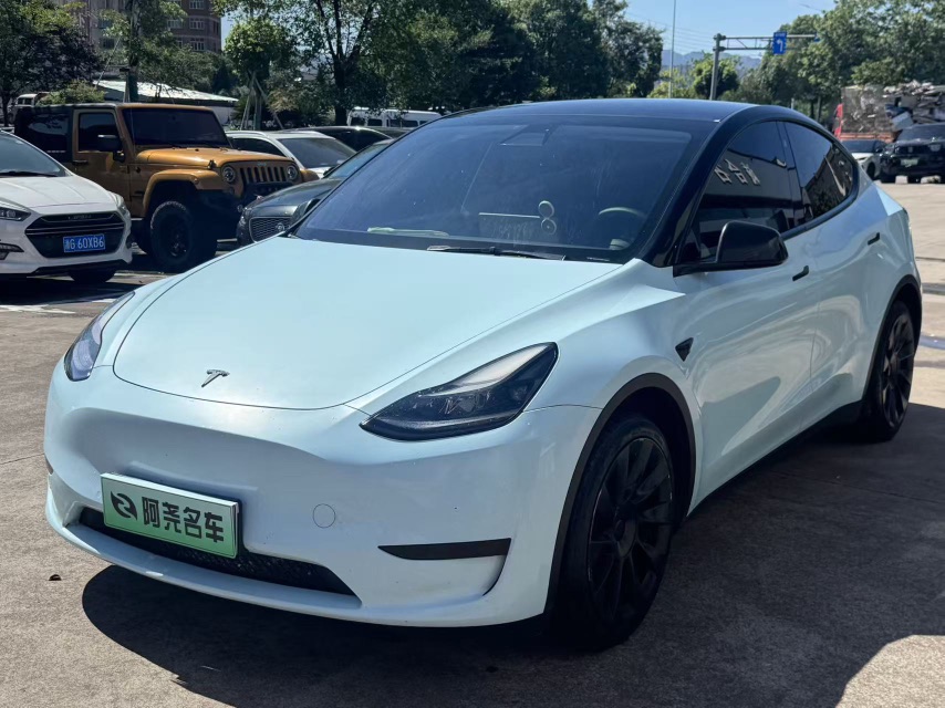 Tesla Model Y 2022 car image 