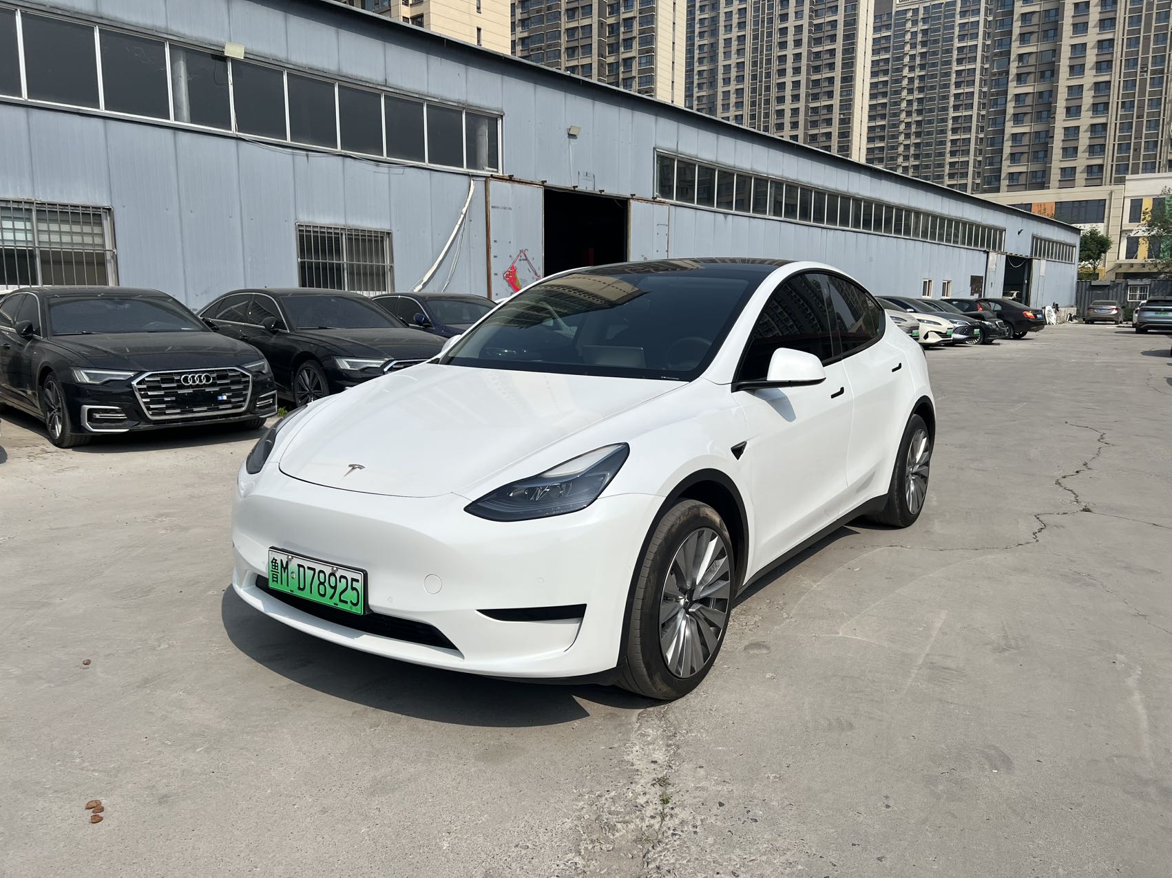 Tesla Model Y 2024 Tesla Model Y 2024 car image