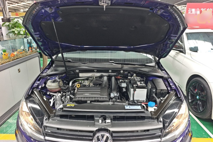 Volkswagen Golf 2019 #20 Volkswagen Golf 2019 car image #20