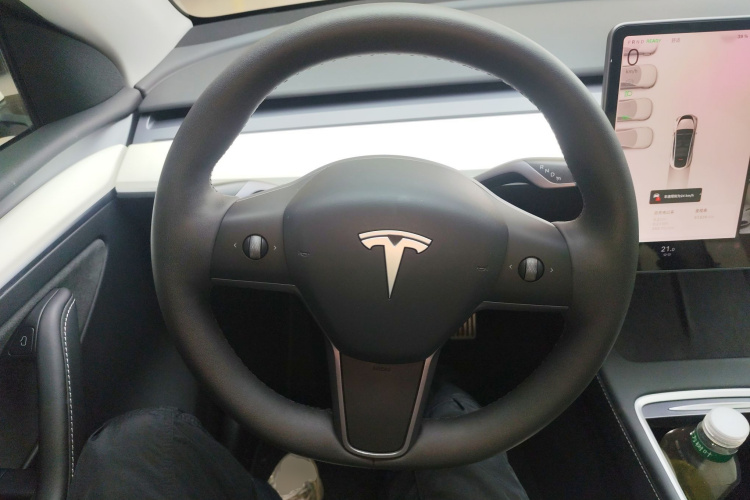 Tesla Model Y 2023 car image #15