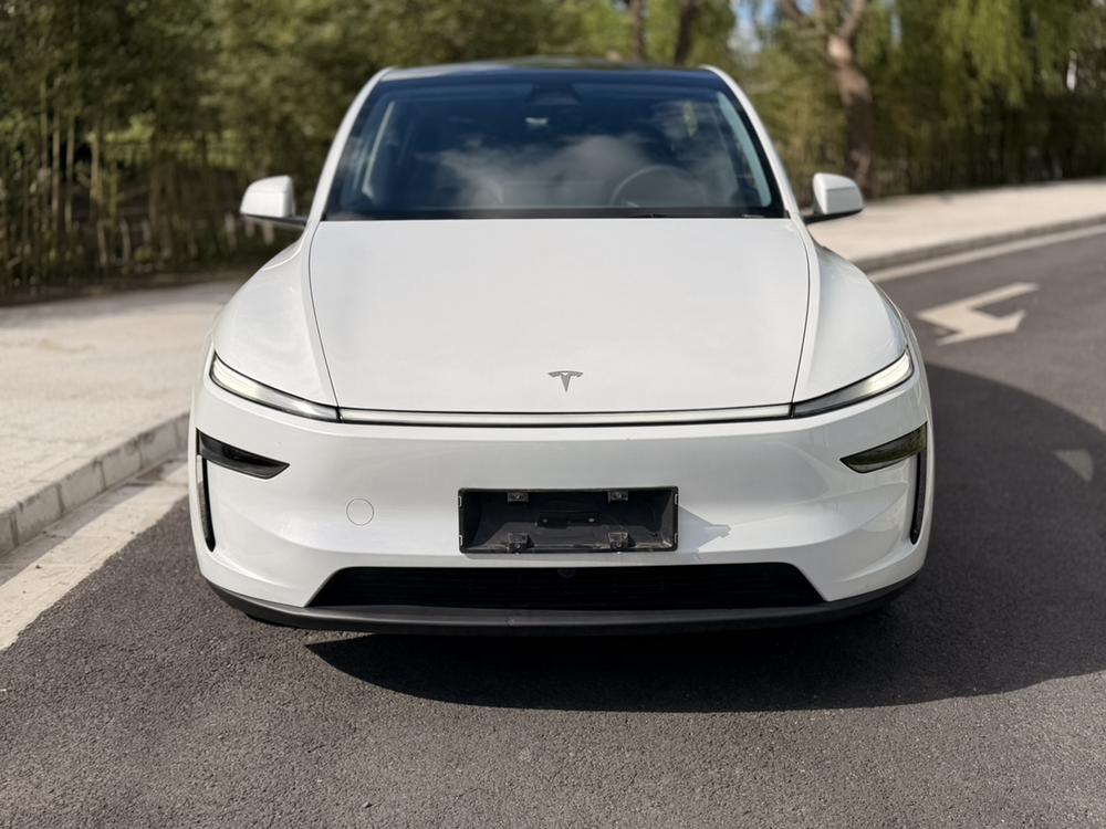 Tesla Model Y 2025 car image #2