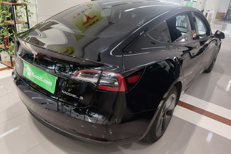 Tesla Model 3 2021 #7 Tesla Model 3 2021 car image #7