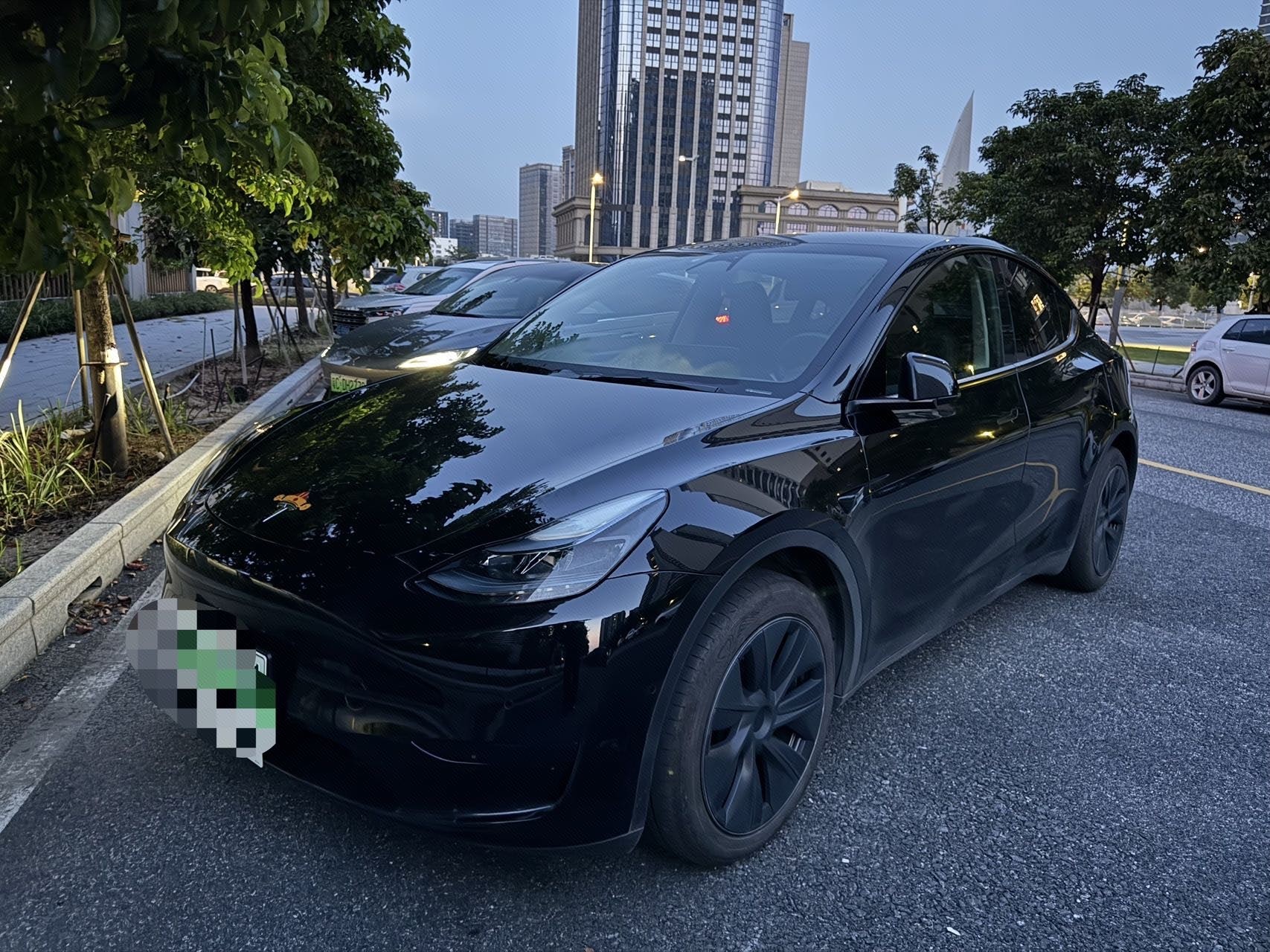 Tesla Model Y 2023 Tesla Model Y 2023 car image