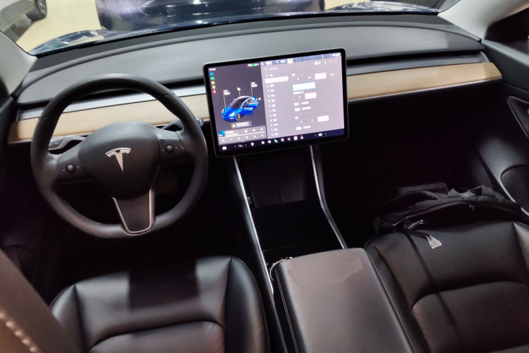 Tesla Model 3 2020 car image #10