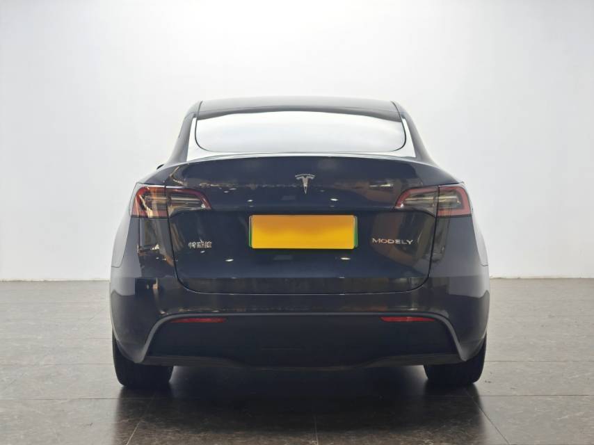 Tesla Model Y 2024 car image #8